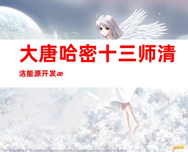 大唐哈密十三师清洁能源开发有限公司